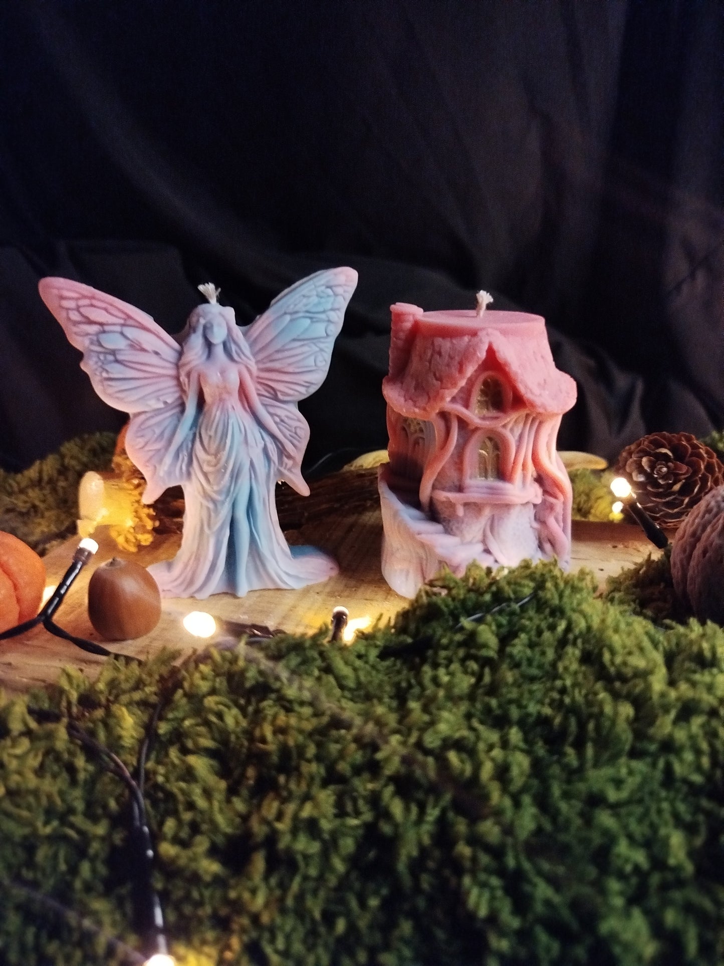 Fée enchantée avec sa maison