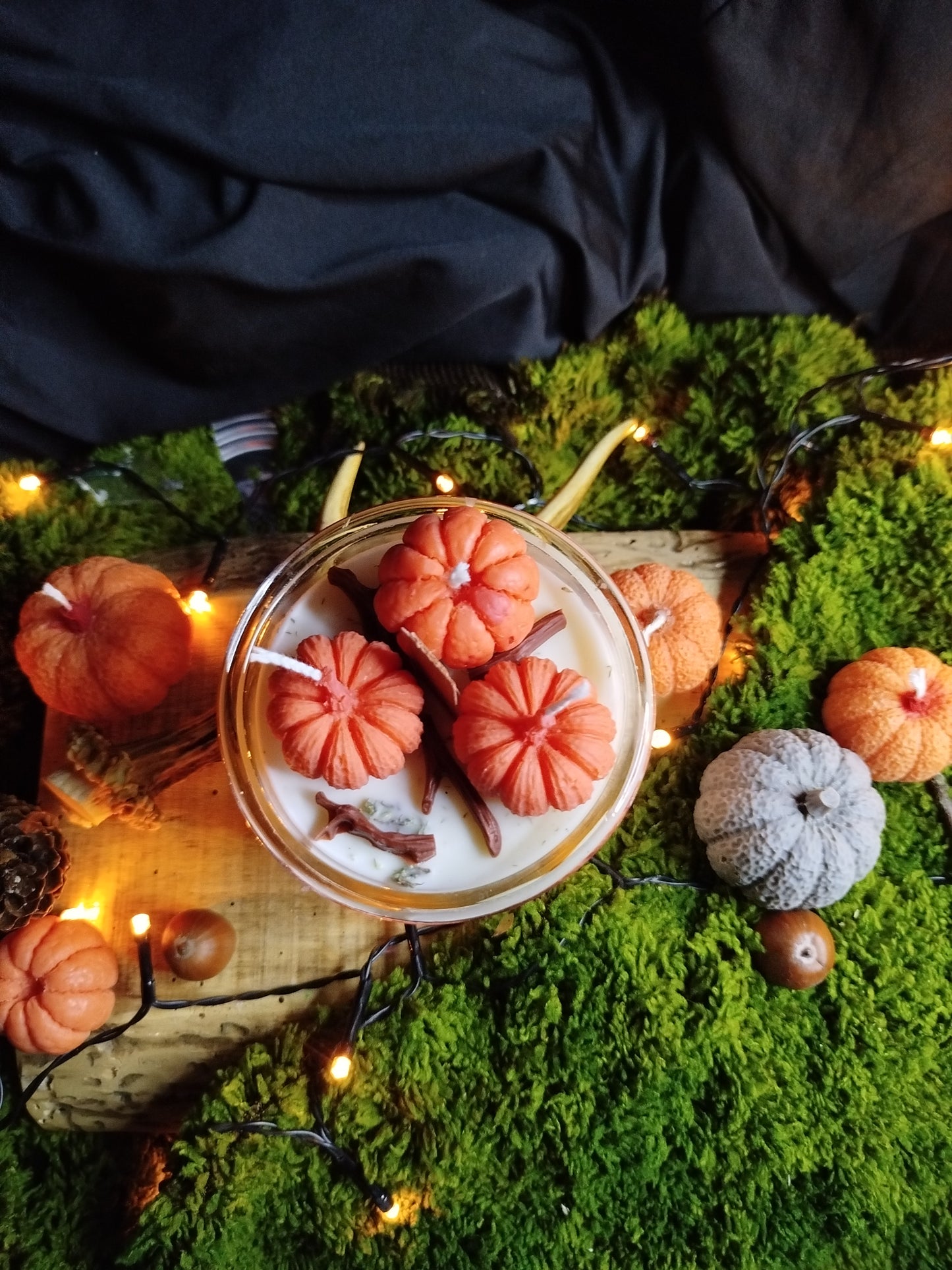 Jardin d'automne