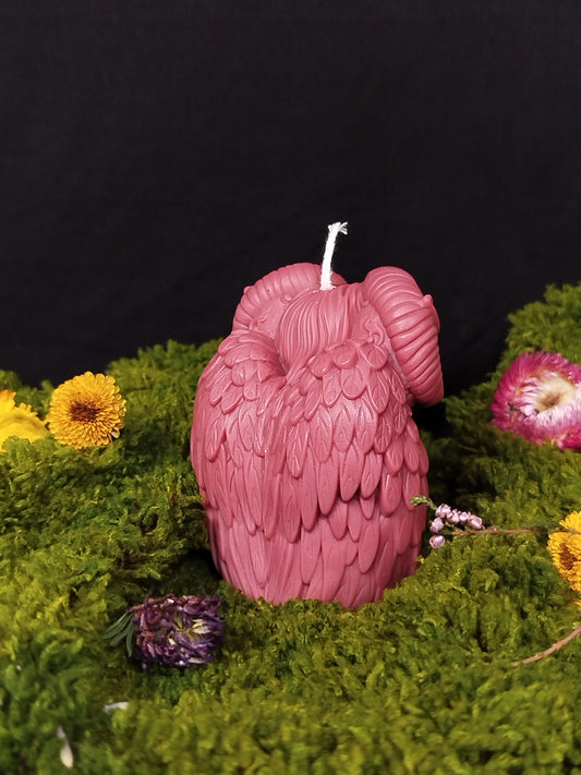 Faune - Vanille Gourmande