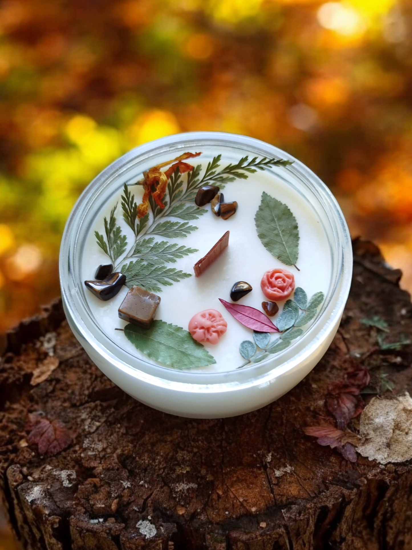 Forêt enchantée