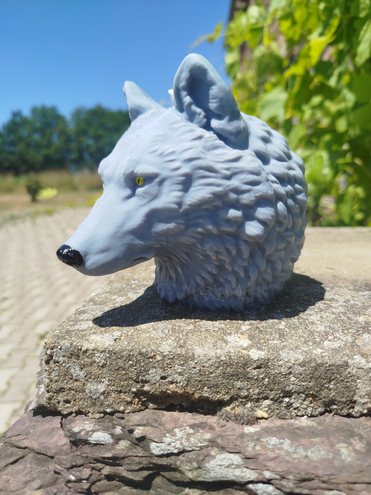 Loup