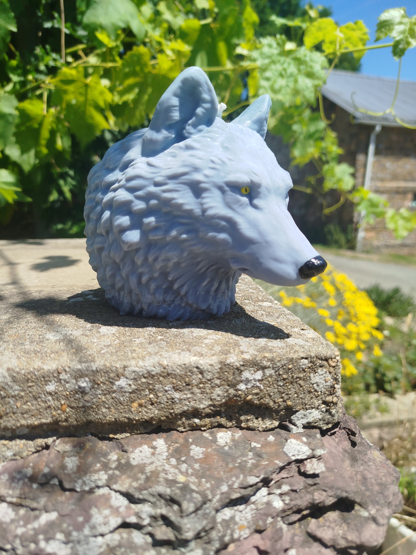 Loup