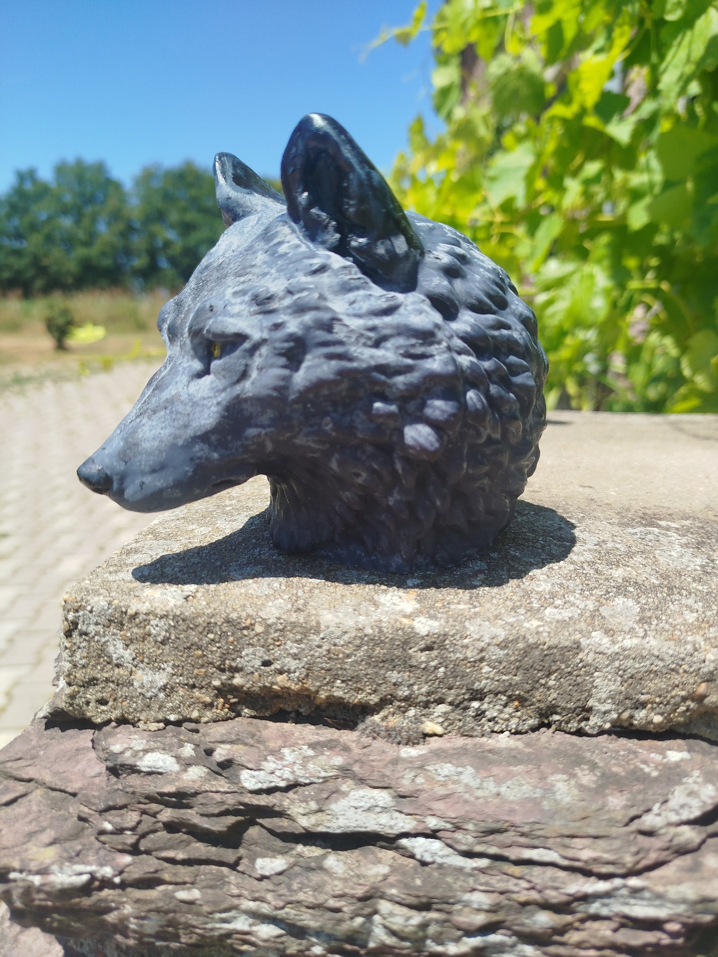 Loup