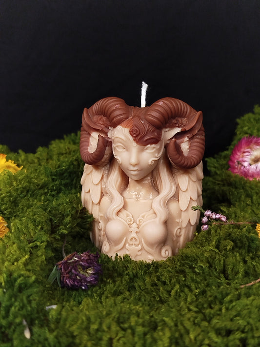 Faune - Caramel Beurre Salé