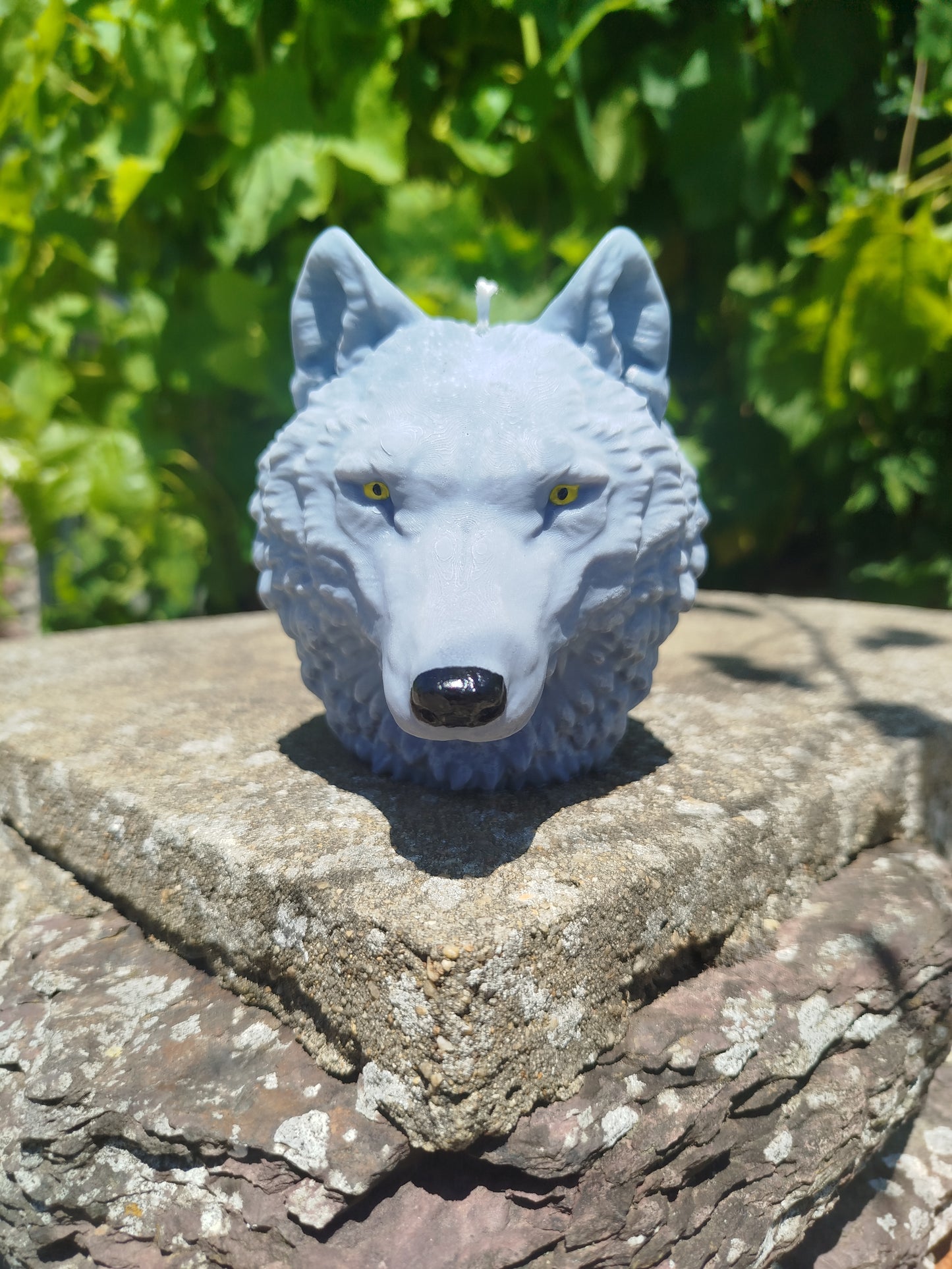 Loup